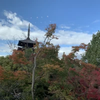 披露宴会場内からの景色は抜群です。