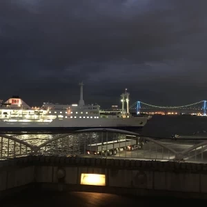 会場の外から見える東京ベイの夜景|564874さんのベイサイドホテルアジュール竹芝の写真(1059053)
