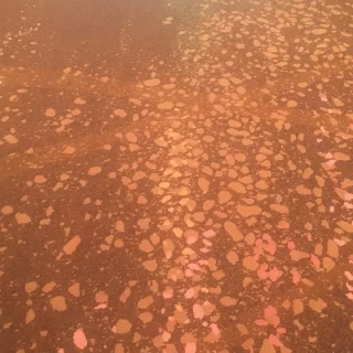 披露宴会場「桜」の桜柄絨毯