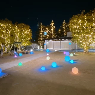 夜になるとイルミネーションが光ります！