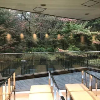 大きな窓から緑と光が取り込めます