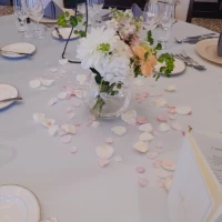 うすいブルーのテーブルクロスに花びらをちりばめました