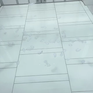 チャペル演出で人気のフェザーシャワーです。