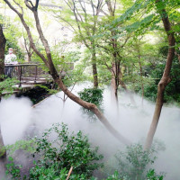 東京雲海というイベント。庭がスモークに包まれます