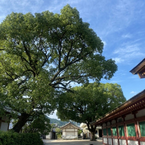 挙式会場|565727さんのHOTEL CULTIA 太宰府（ホテルカルティアダザイフ）の写真(1075550)