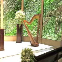 ハープの生演奏があります