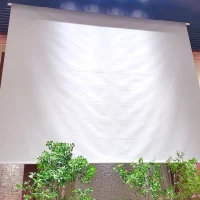 スクリーンは高砂のほぼ真上から出てきます。