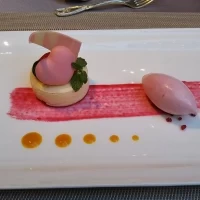 いちごのアイスとチーズヨーグルトムース（？）