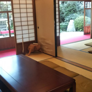 親族控え室|565905さんの神戸北野ハンター迎賓館の写真(1070091)