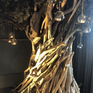 このチャペルの木は魅力的でした。
