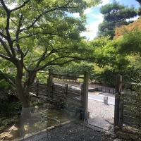 新緑を感じられます