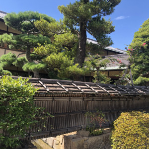 四季折々の植物|565988さんのTHE GARDEN DINING 弓絃葉（ザ・ガーデンダイニング ユズルハ）の写真(1074174)