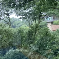 館内から見える外の緑