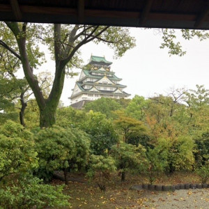 庭園（茶室）|566357さんの大阪城西の丸庭園 大阪迎賓館の写真(1066054)