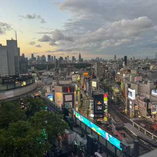 景色最高！