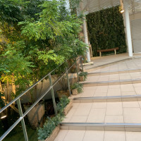 ガーデンの階段