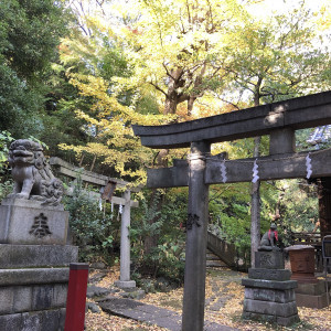 何箇所か鳥居があり、フォトスポットが多い|566657さんの赤坂 氷川神社の写真(1565728)