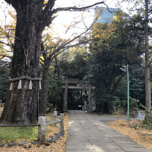 境内の風景|566657さんの赤坂 氷川神社の写真(1565730)