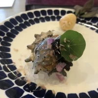 生しらすやサザエなど、海産物がおいしかったです