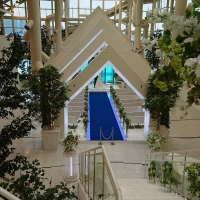 入場階段からみるヴァージンロード
