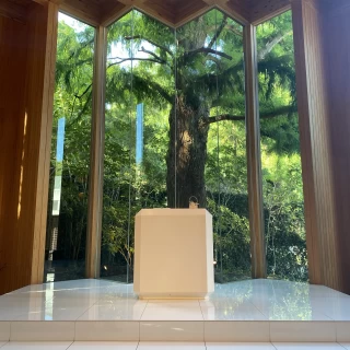 大きな木が見えてとても素敵です。