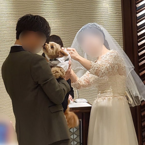 リングドッグより、指輪を受け取っている瞬間です。|567230さんの小さな結婚式 横浜店の写真(1457577)