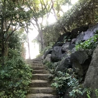 一般の人も入れる