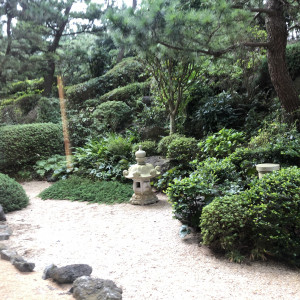 庭|567421さんのヒルトン東京ベイの写真(1091912)
