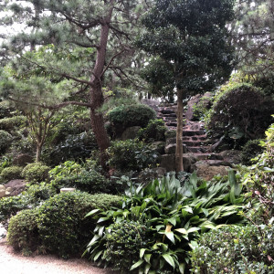 庭|567421さんのヒルトン東京ベイの写真(1091913)