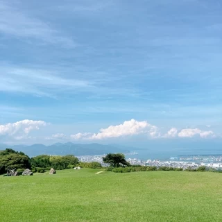 晴れている日のお庭からの写真です