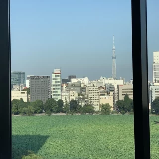 不忍の池です。