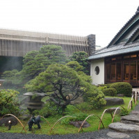 雨上がりの庭園