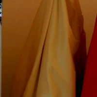 他にも沢山ドレスがありました