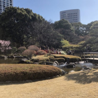 とっても広い庭園です。
鯉もいます。