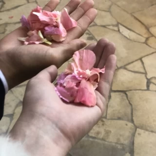 フラワーシャワー