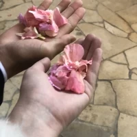 フラワーシャワー
