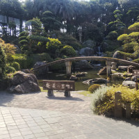 立派な日本庭園。