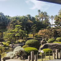 立派な日本庭園。写真映えします。