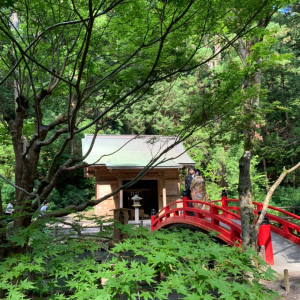 赤い橋は何箇所かあるので、色々なポーズで撮影できます。|568469さんの小國神社の写真(1084522)