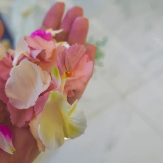 全体の写真が撮れませんでしたが、床が反射するほど綺麗