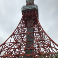 テラスから見上げた東京タワー