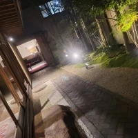 お昼と夜の雰囲気が変わるので午後もおすすめです