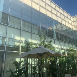 ガラス張りの庭には幻想的な空間が|568914さんのGRANADA SUITE 福岡(グラナダスィート福岡)（営業終了）の写真(1098910)