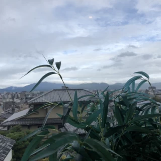 チャペルからの眺め