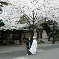 桜の中で、挙式前の写真撮影です