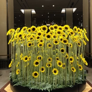 ロビーに飾られている花
季節で変わります