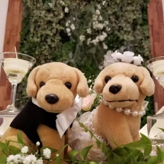 飼っている犬をモチーフにしたぬいぐるみを置いてもらいました