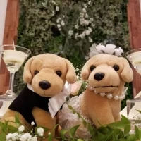 飼っている犬をモチーフにしたぬいぐるみを置いてもらいました
