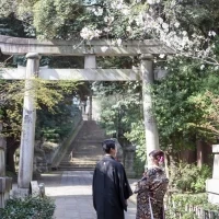 氷川神社