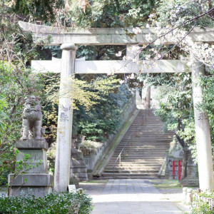 氷川神社|569132さんの赤坂 氷川神社の写真(1087225)